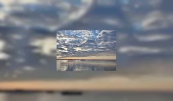 Kookwedstrijd op de Schelde