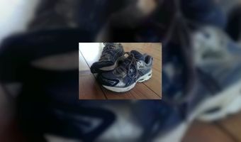 Wandeltocht langs toprestaurants