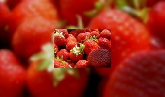 Superfood? Brainfood!