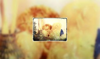 Stoffig brood op straat 