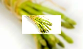 Introductie van aspergebier op beurs