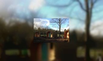 Nieuw: overnachten in een boomstam