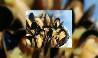 Mosselen dit jaar groot en lekker