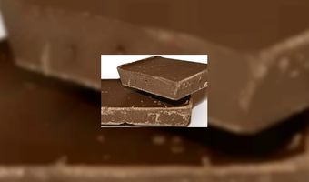 Cacaoproducenten willen duurzaam zijn