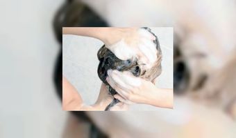 Champagneshampoo toch niet zo'n feestje