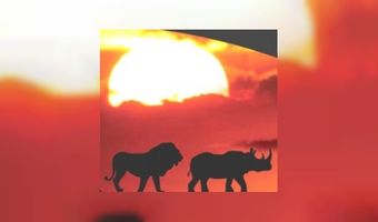 Op safari met Deli XL