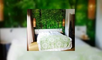 Eco-designhotel in Amsterdam geopend