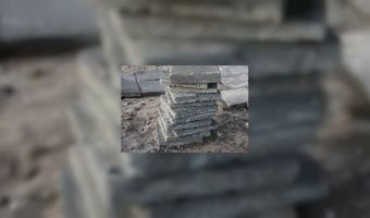 Louvre  wil toppositie in Oost-Europa