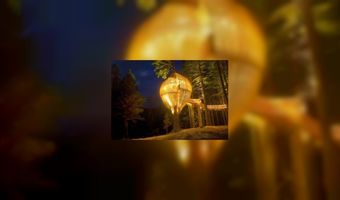 Vijf bijzondere boomhut-restaurants