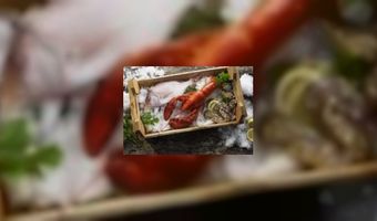 Restaurant Fjord met Noorse roots