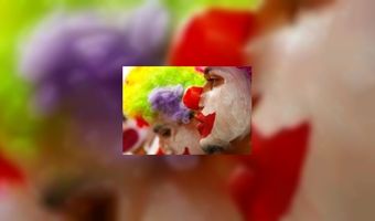 Clowns overvallen hotel tijdens carnaval