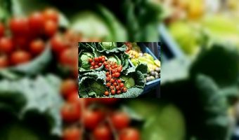 Meer vega menu's voor kinderen