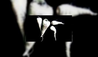 Alle foodtrends van 2011 op een rijtje