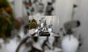 Winnaars van Innovation Award 2014