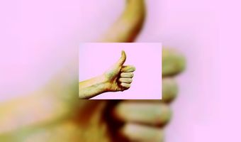 In De Wulf beste restaurant Europa