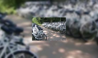 Vaker vakantie vieren op de Veluwe