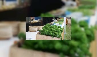 Keuze voor biologisch eten neemt toe