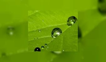 Deli XL  wil duurzame toekomst