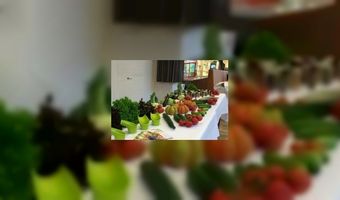 Accor gaat groenten verbouwen