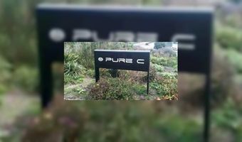 Pure C hoogste binnenkomer Lekker 2012