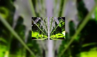 Niet alleen glaswerk Grolsch is groen