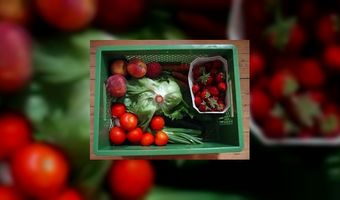 Inspiratie voor vegetarische menukaart 