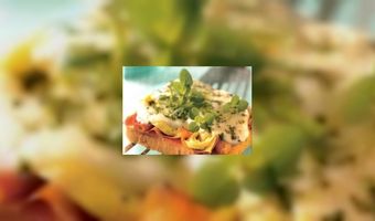 Ontdek de zes tosti's nieuwe stijl 