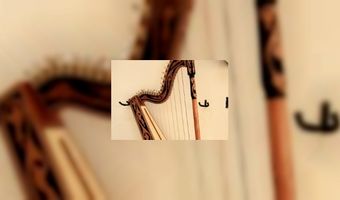 B&B organiseert klassiek concert