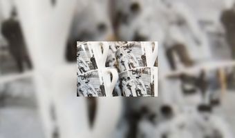 Vogelnest in je koffie?