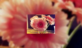 Nieuw niche-hotel in Amsterdam Zuidoost?