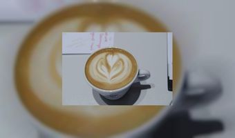 De beste koffie van Nederland 