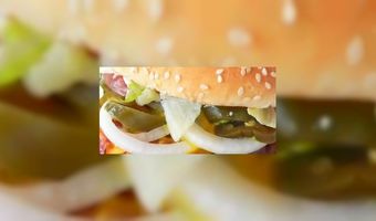 Vegetarische snackbar voor Delft
