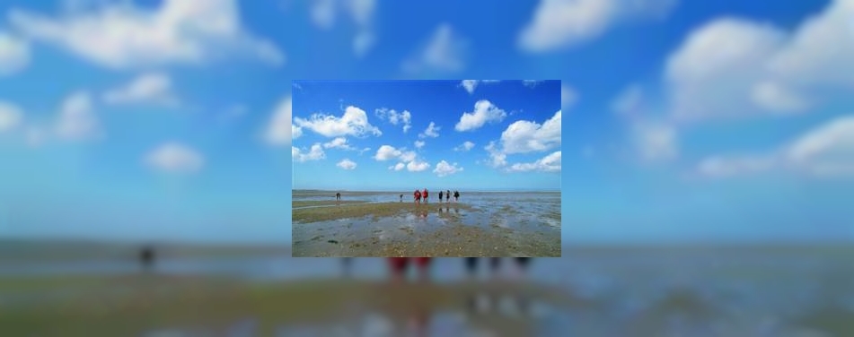 Waddenzee is toegevoegd aan werelderfgoed