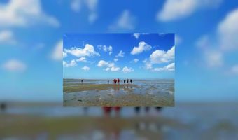 Waddenzee is toegevoegd aan werelderfgoed