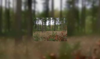 Recreatie Drenthe blijft redelijk positief 