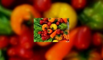 Menu horecazaak Logica is vrijwel volledig vegetarisch