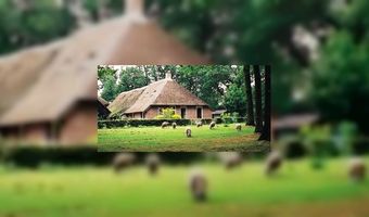 Logeren op de boerderij in trek