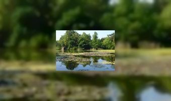 Weert 'Groenste Stad van Europa'