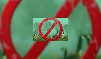 De Beren EetcafÃ©s naar Zoetermeer