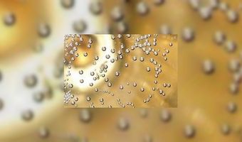 Nederlandse bubbels heten 'Sprankel'