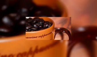 Koffie proeven bij The Golden Coffee Box