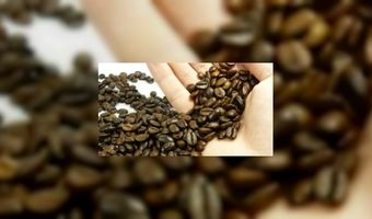 Cappucino krijgt nu de Koffietrofee