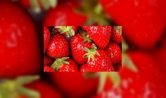 Aardbeien vÃ³Ã³r wijn