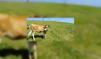 Bezwaar tegen start b&b in buitengebied 