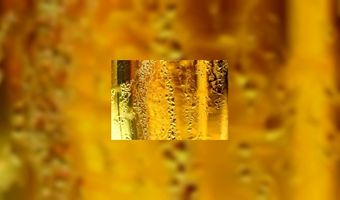 Edense vrienden nemen kroeg over