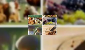 Streek Gastronomie Plein Venray