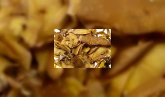 Frietwagen met duurzame technieken 