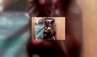 Inspiratie voor Pasen