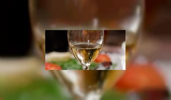 Wijnbar De Bolleboos opent in Rotterdam