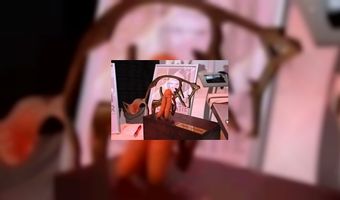 Kromkommer wint award Karel de Vos